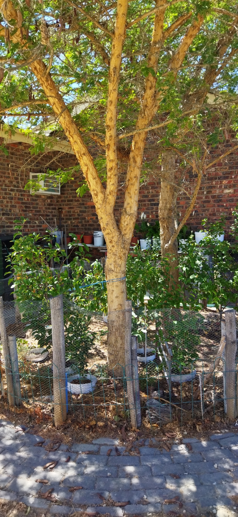 3 Bedroom Property for Sale in Hopefield Western Cape